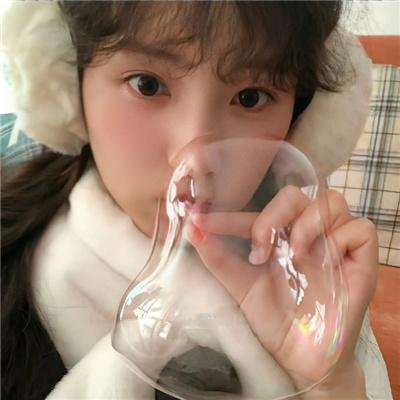 鹿枫堂四色日和2022